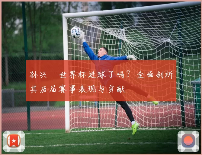 孙兴慜世界杯进球了吗？全面剖析其历届赛事表现与贡献