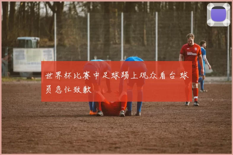 世界杯比赛中足球踢上观众看台 球员急忙致歉