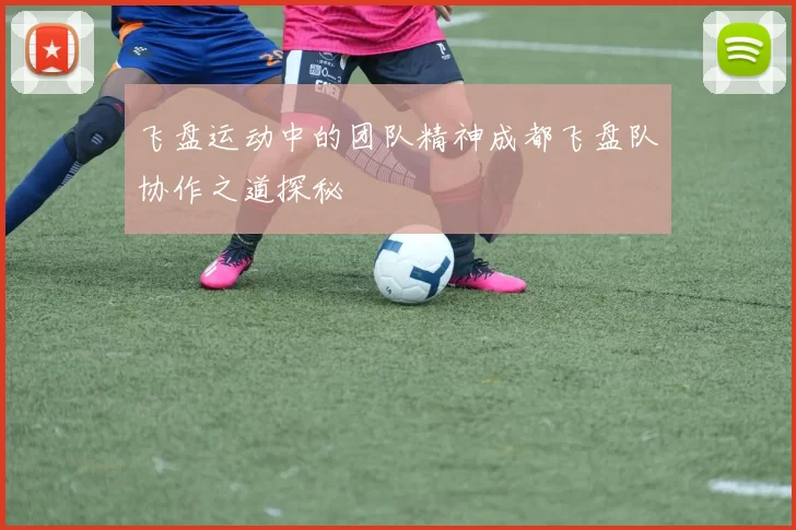 飞盘运动中的团队精神成都飞盘队协作之道探秘