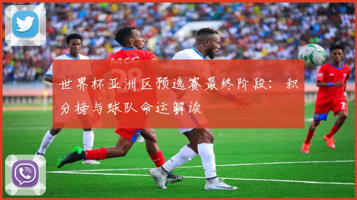 世界杯亚洲区预选赛最终阶段：积分榜与球队命运解读
