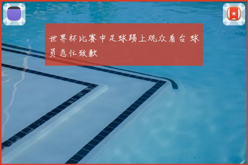 世界杯比赛中足球踢上观众看台 球员急忙致歉