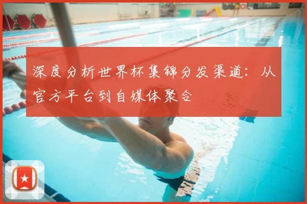 深度分析世界杯集锦分发渠道:从官方平台到自媒体聚合