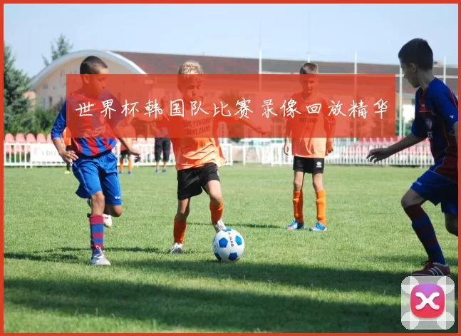世界杯韩国队比赛录像回放精华
