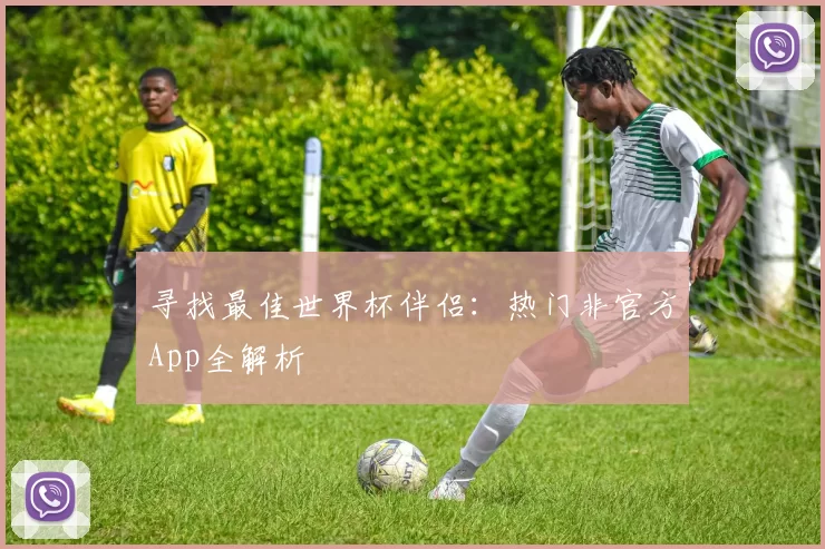 寻找最佳世界杯伴侣:热门非官方App全解析