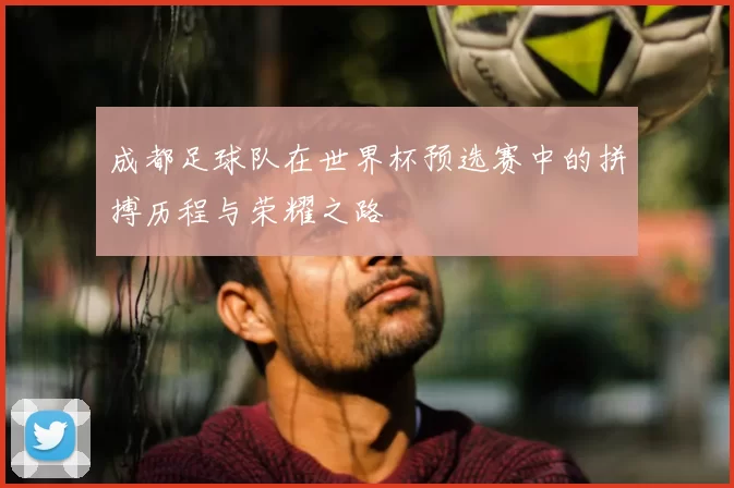 成都足球队在世界杯预选赛中的拼搏历程与荣耀之路