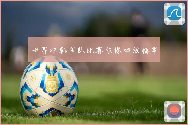 世界杯韩国队比赛录像回放精华
