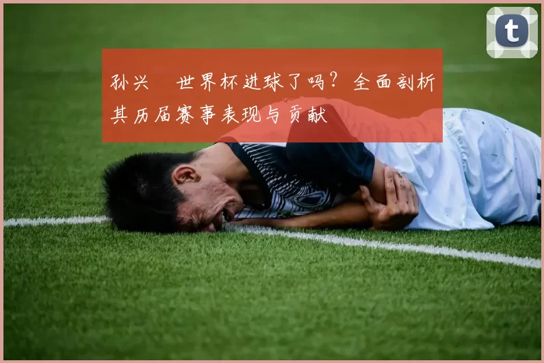孙兴慜世界杯进球了吗？全面剖析其历届赛事表现与贡献