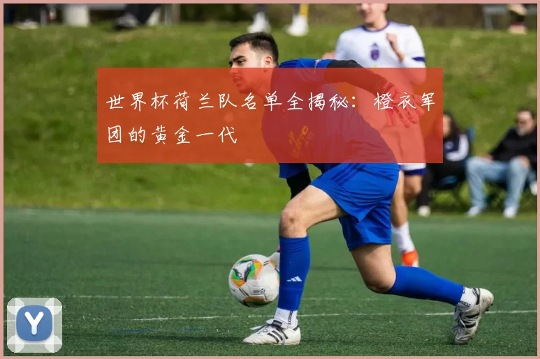 世界杯荷兰队名单全揭秘：橙衣军团的黄金一代