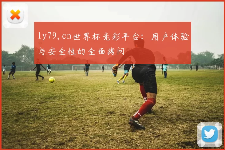 ly79,cn世界杯竞彩平台：用户体验与安全性的全面拷问